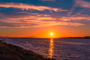 How Caffeine Impacts Your Blood Sugars